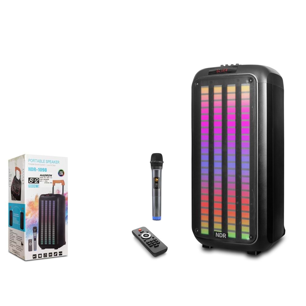 NDR NDR1098 Karaoke Mikrofonlu Bluetooth Hoparlör FM Radyo 2x8 İnç RGB Kumandalı Siyah