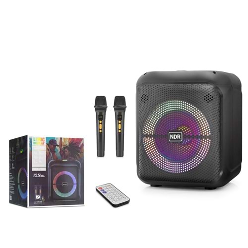 NDR NDR2210 Çift Karaoke Mikrofonlu Bluetooth Hoparlör FM Radyo 20W 10.5 İnç RGB Kumandalı Siyah